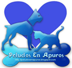 Asociación Peludos en Apuros